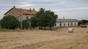 Az. agricola Castelverde (Rm)