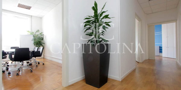 BARBERINI_86 P3_03