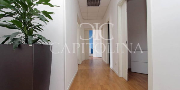 BARBERINI_86 P3_04