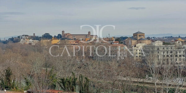IPPOLITO NIEVO APTS 049