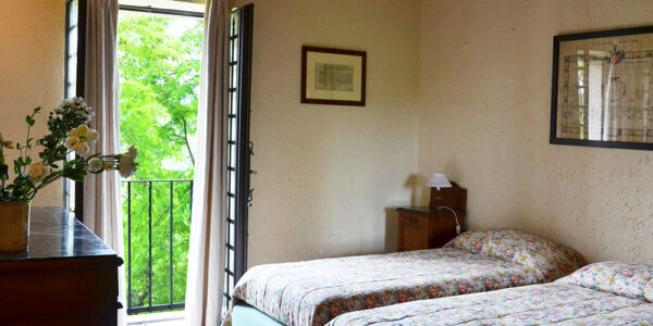 Pitosforo_letto3